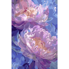 Dream of Pink Peonies
